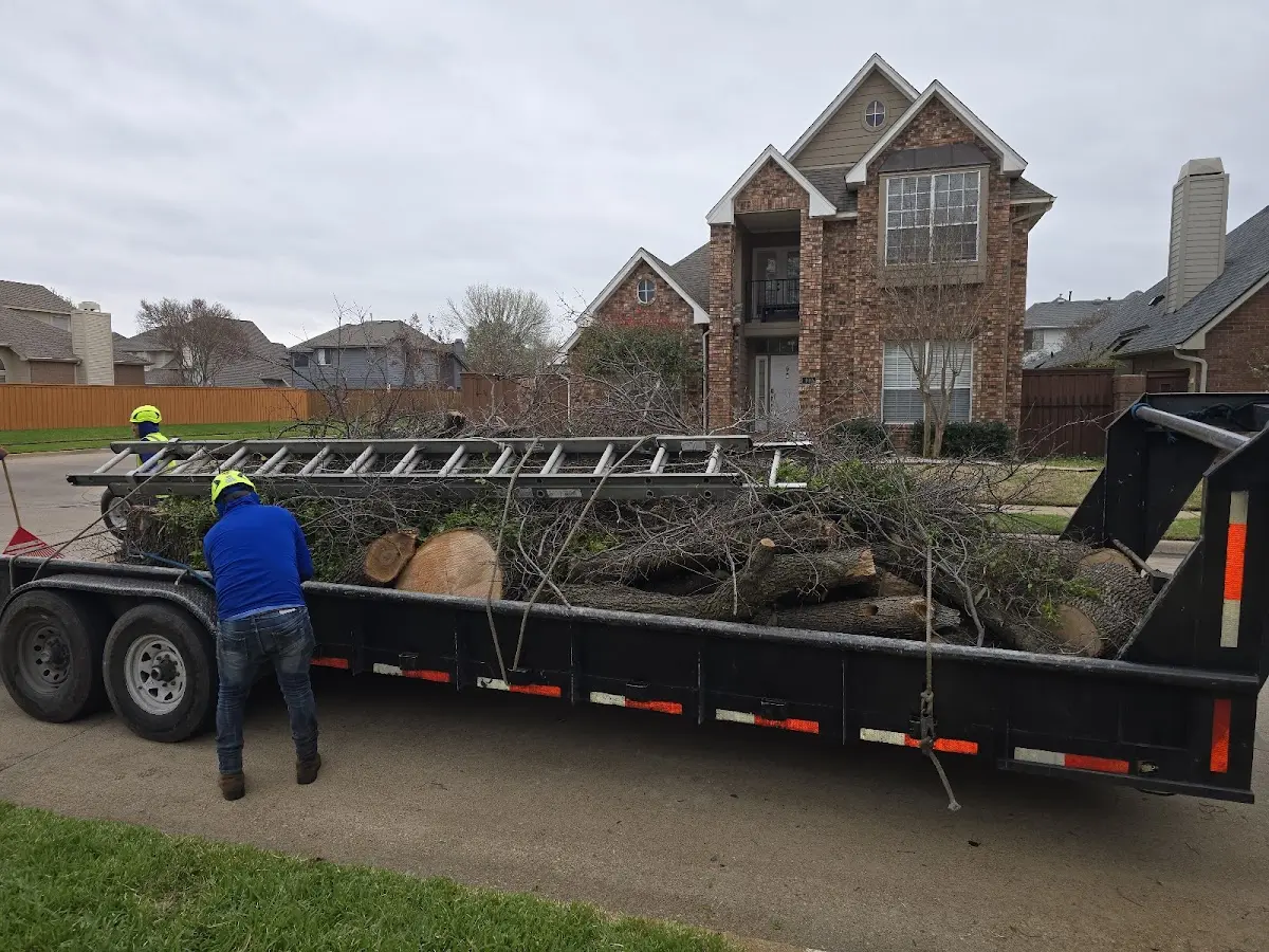 Expert Lot Clearing with proper safety equipment in Heavener